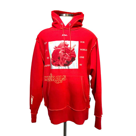 Limited Advisory Board Crystals x Guess men's hoodie