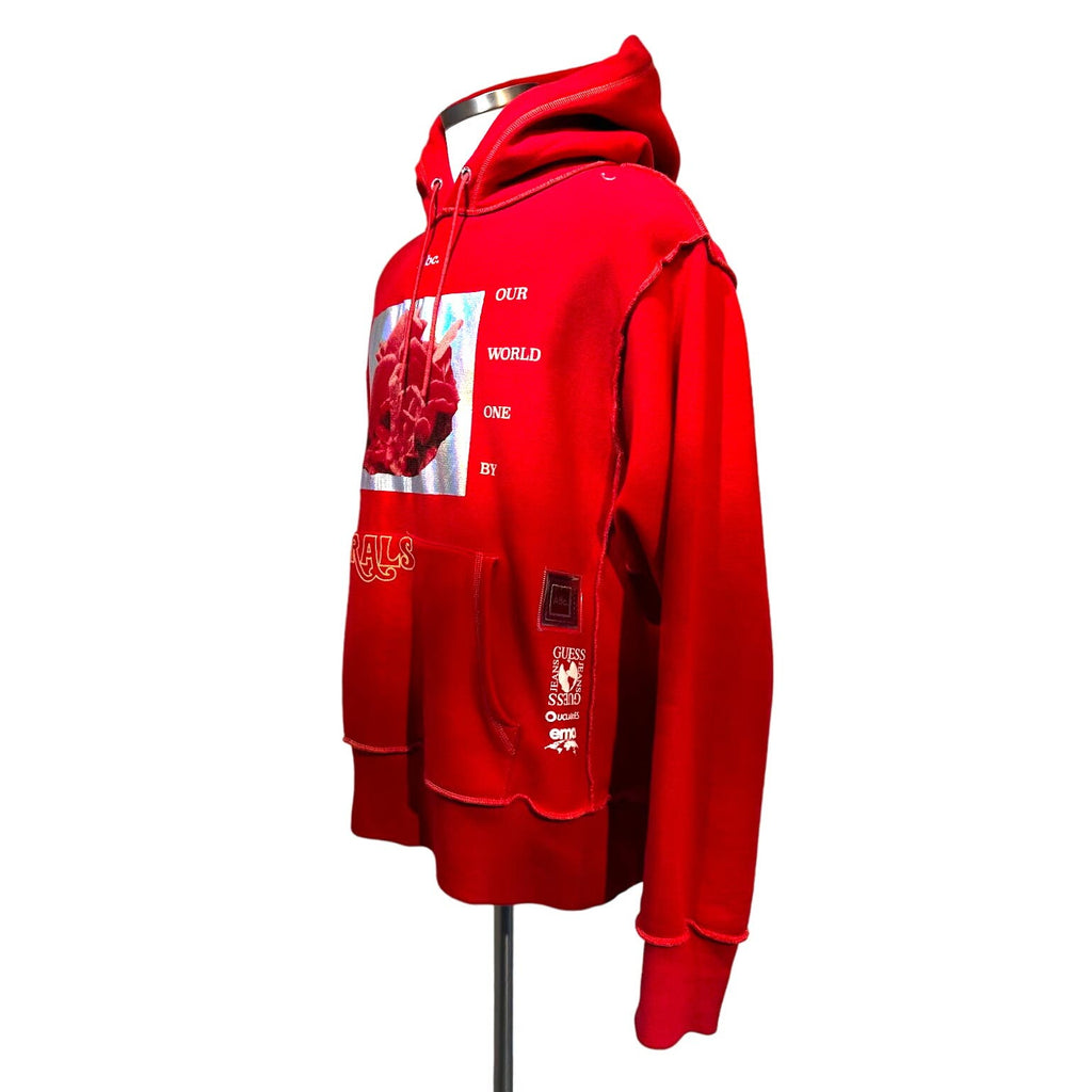 Limited Advisory Board Crystals x Guess men's hoodie