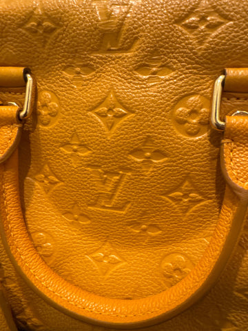 Louis Vuitton Caramel Bag