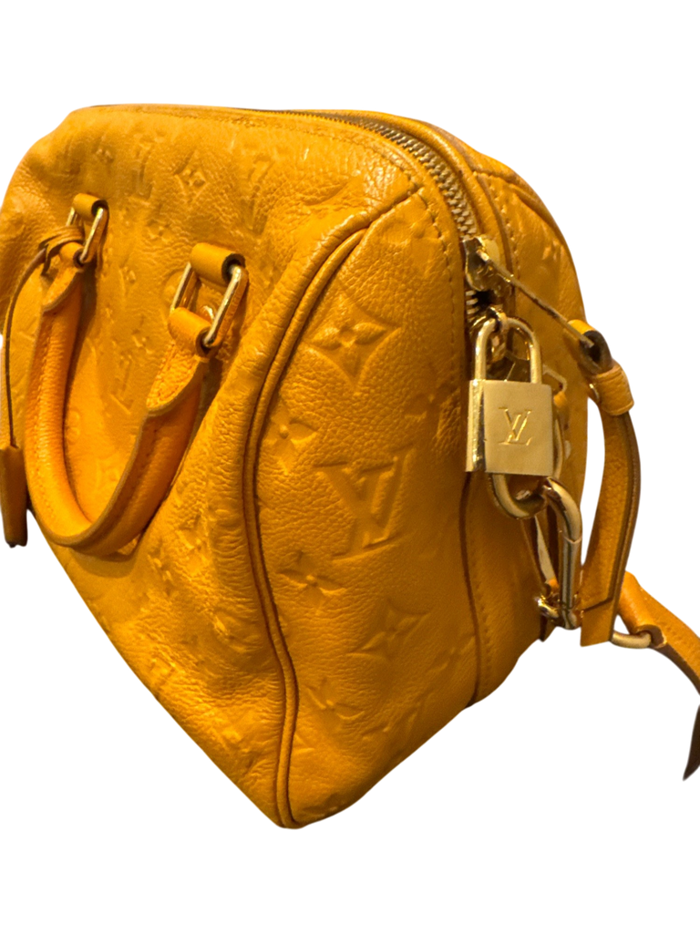 Louis Vuitton Caramel Bag