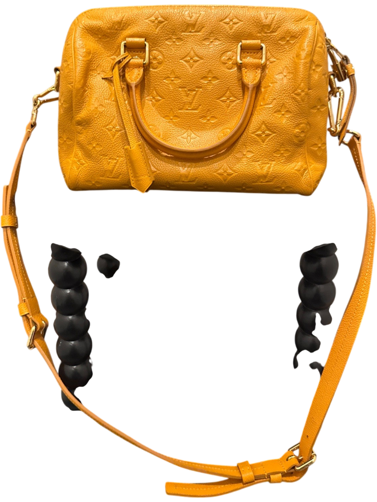 Louis Vuitton Caramel Bag